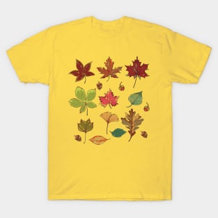 Botanical illustration of autumn leaves T-Shirt